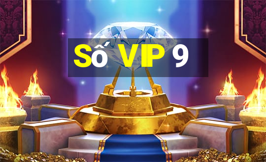 Số VIP 9