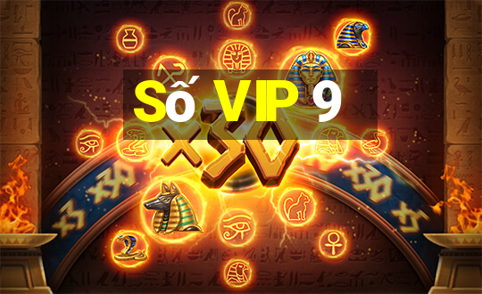 Số VIP 9