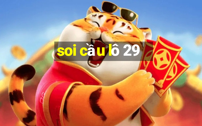 soi cầu lô 29