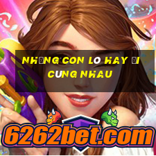 những con lô hay đi cùng nhau