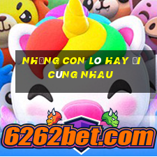 những con lô hay đi cùng nhau