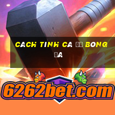 cách tính cá độ bóng đá