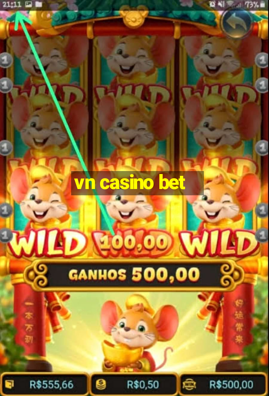 vn casino bet