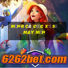 Mạng cá cược xổ số may mắn