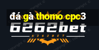 đá gà thomo cpc3