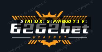 5 triệu Xổ số Pinguo Tải về