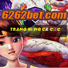 Trang mạng cá cược