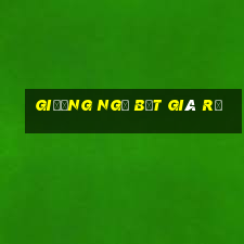 giường ngủ bệt giá rẻ