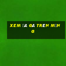 xem đá gà trên mạng