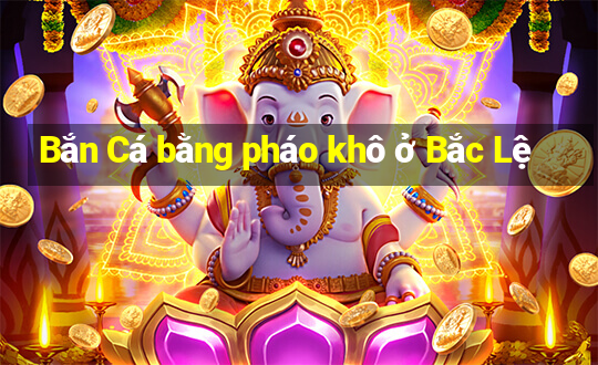 Bắn Cá bằng pháo khô ở Bắc Lệ