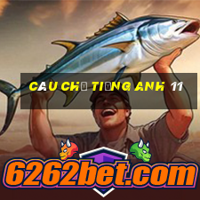 câu chẻ tiếng anh 11