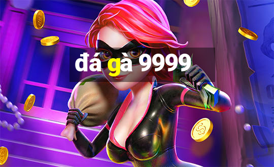 đá gà 9999