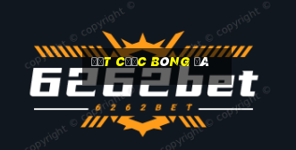 Đặt cược bóng đá