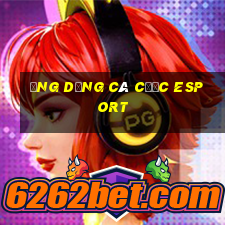 ứng dụng cá cược esport