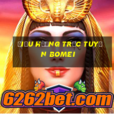 Điều hướng trực tuyến Bomei