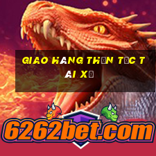 giao hàng thần tốc tài xế