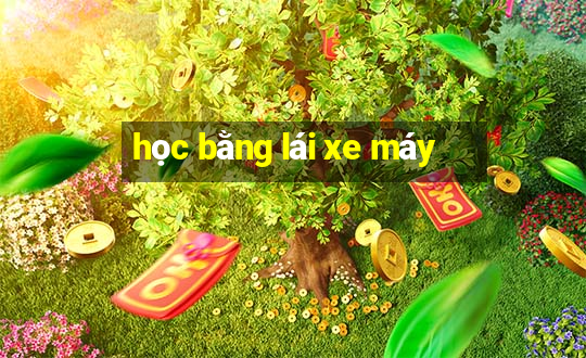 học bằng lái xe máy