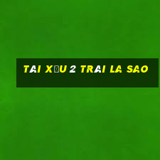 tài xỉu 2 trái la sao