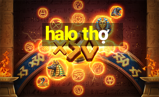 halo thợ