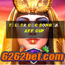 tỷ lệ cá cược bóng đá aff cup