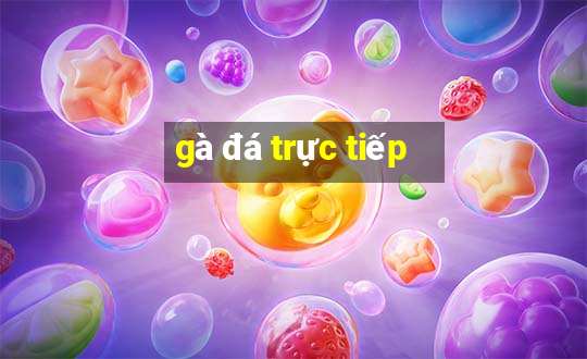 gà đá trực tiếp