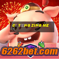 cơ tương zing me