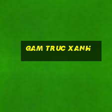 gam truc xanh