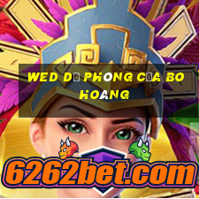 wed dự phòng của Bo Hoàng