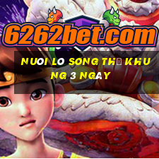 nuôi lô song thủ khung 3 ngày