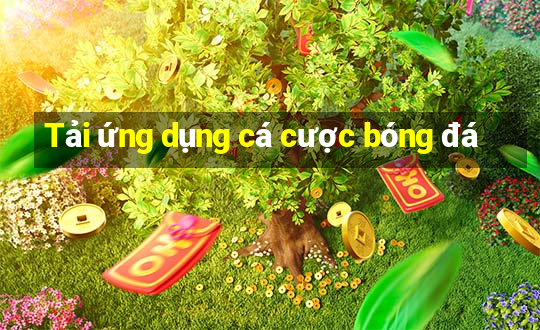 Tải ứng dụng cá cược bóng đá