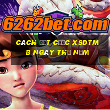 Cách đặt cược XSDTMB ngày thứ năm