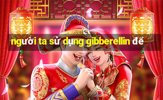 người ta sử dụng gibberellin để