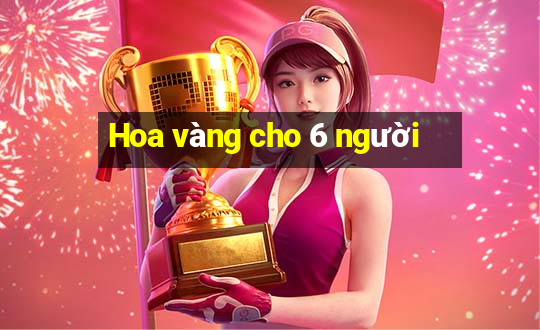 Hoa vàng cho 6 người