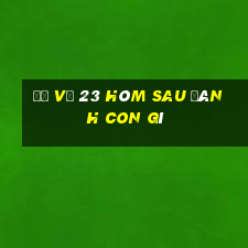 đề về 23 hôm sau đánh con gì