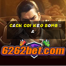 cách coi kèo bóng đá