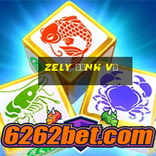 zely định vị