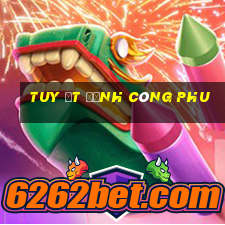 Tuy ệt đỉnh công phu