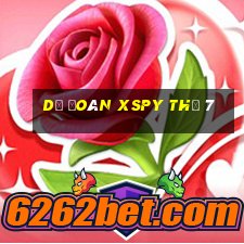 Dự đoán XSPY Thứ 7