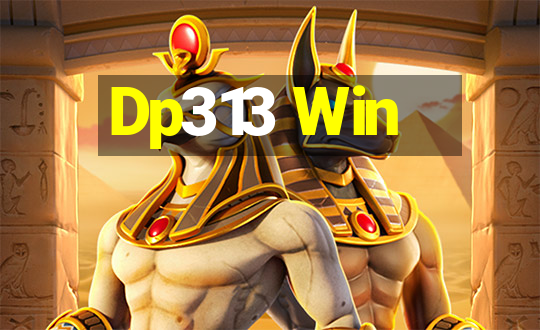 Dp313 Win