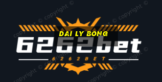 dai ly bong