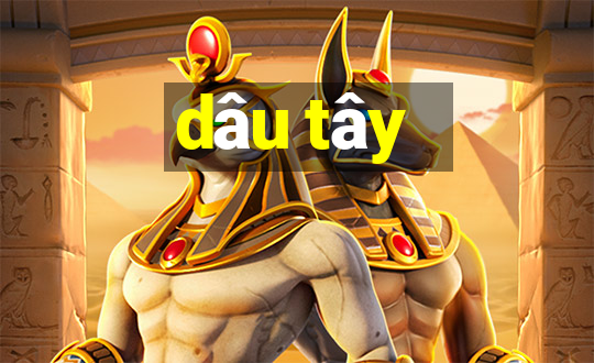 dâu tây