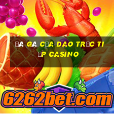 đá gà cựa dao trực tiếp casino