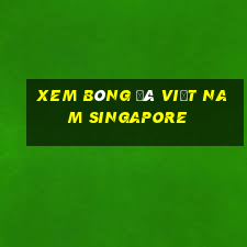 xem bóng đá việt nam singapore