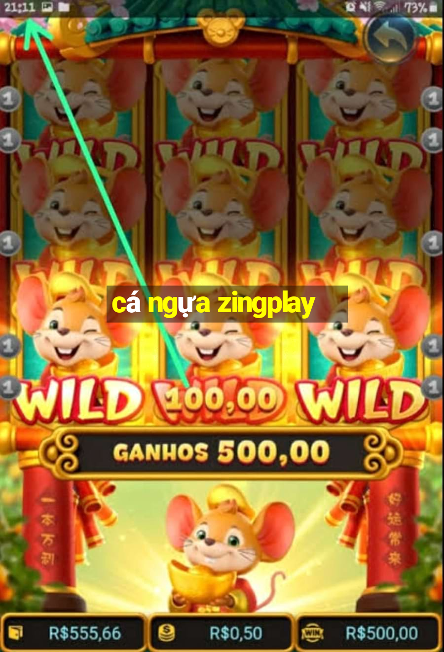 cá ngựa zingplay