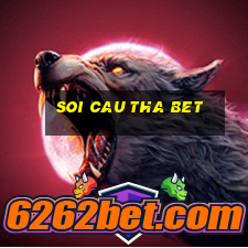 soi cau tha bet