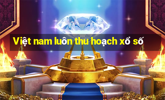 Việt nam luôn thu hoạch xổ số