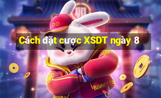 Cách đặt cược XSDT ngày 8