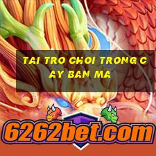 tai tro choi trong cay ban ma