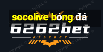 socolive bóng đá