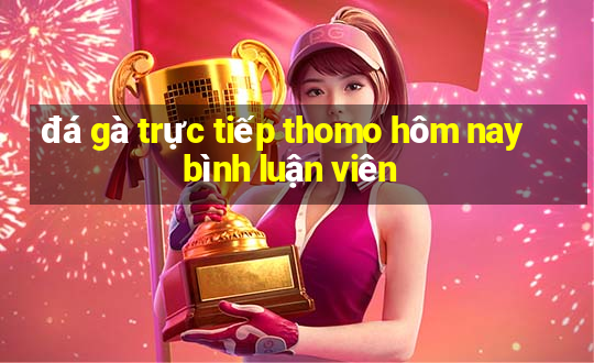 đá gà trực tiếp thomo hôm nay bình luận viên